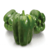 Capsicum