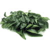 Curry Leaf