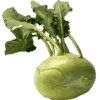 Kohlrabi