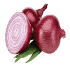 Onion