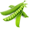 Pea