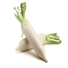 Radish