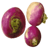 Turnips